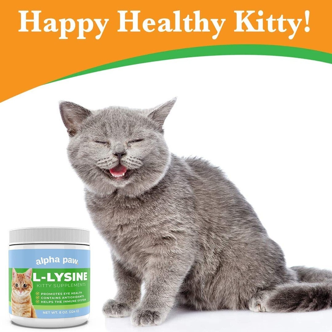 Human lysine for cats shop